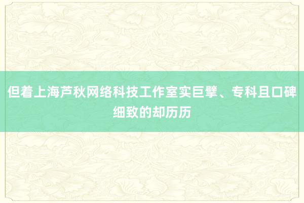 但着上海芦秋网络科技工作室实巨擘、专科且口碑细致的却历历